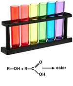 test tubes